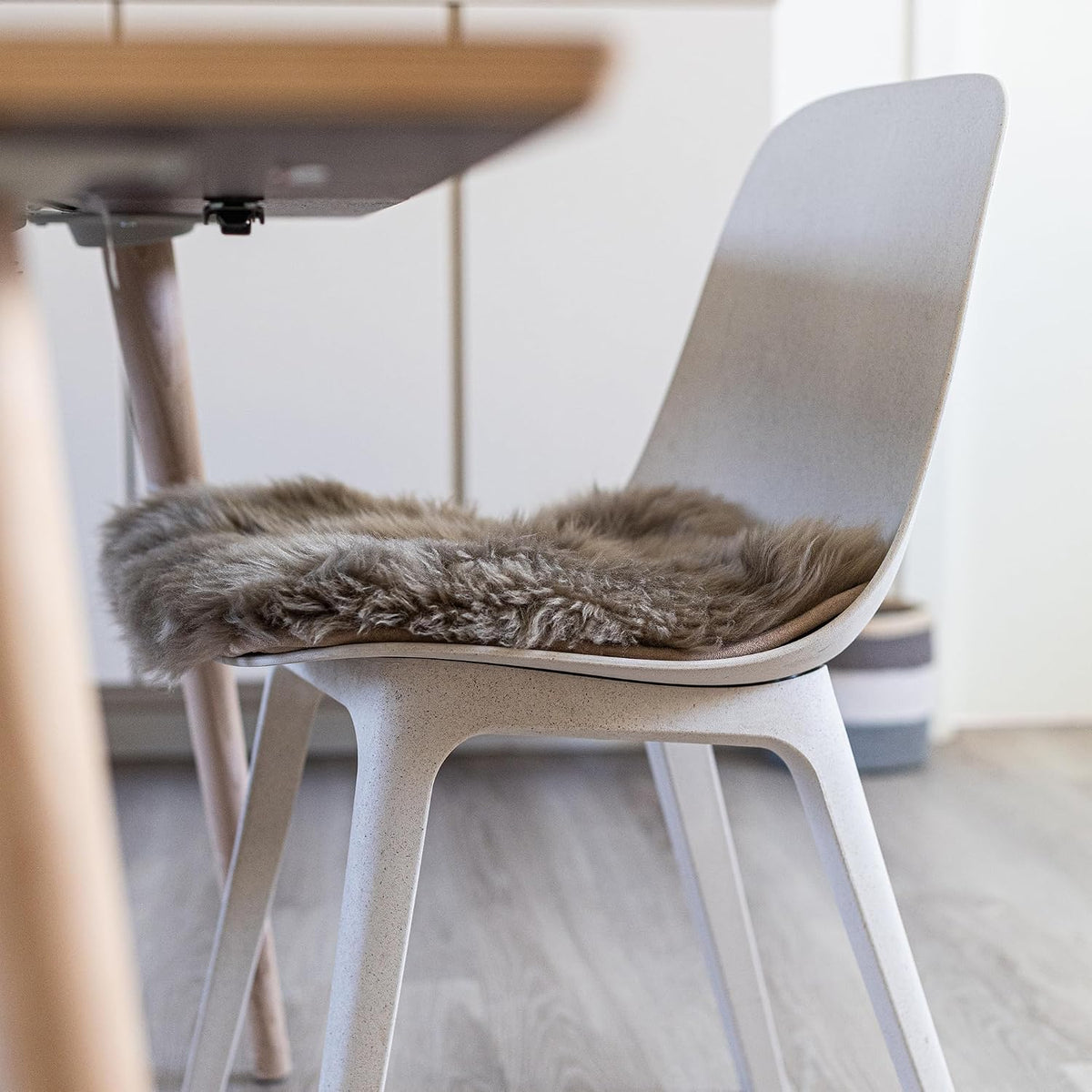 Cuscino per sedia – set da 4 – immagine 4