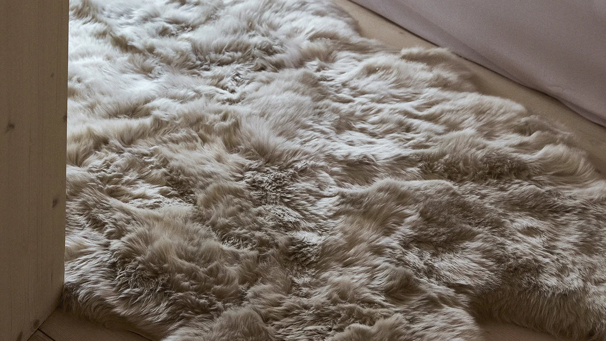 Nordic Sheep