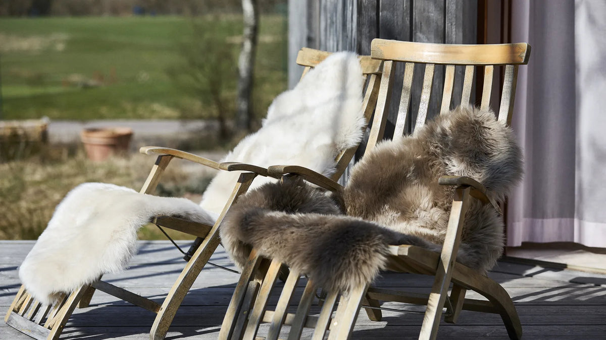 Nordic Sheep